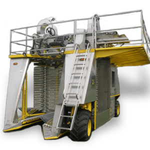 ORXL - 1620 - Available at the End of the Season